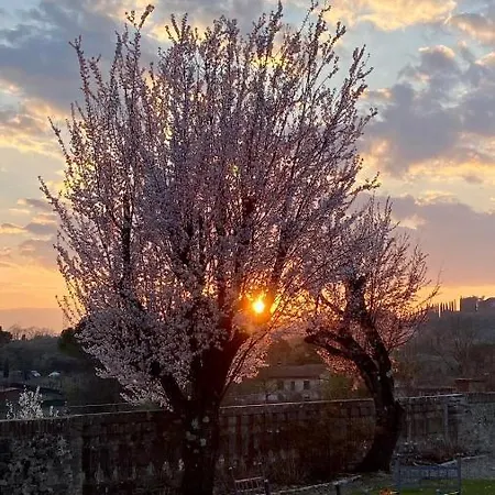 Glamorous - Historic Il Serraglio Appartamento Ponte A Bozzone